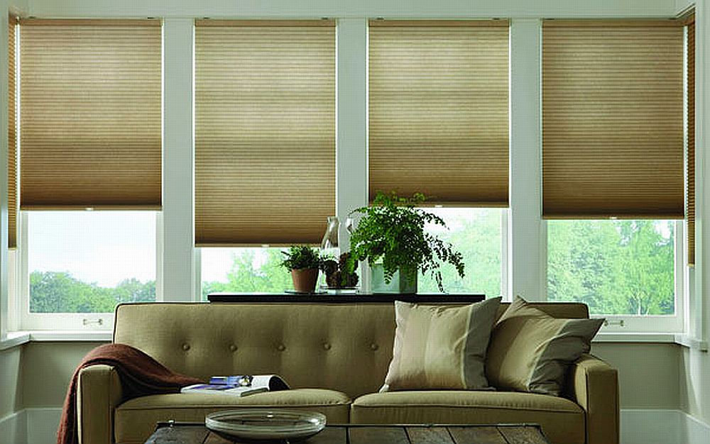 discount blinds can save energy 