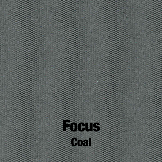 Focus Coal