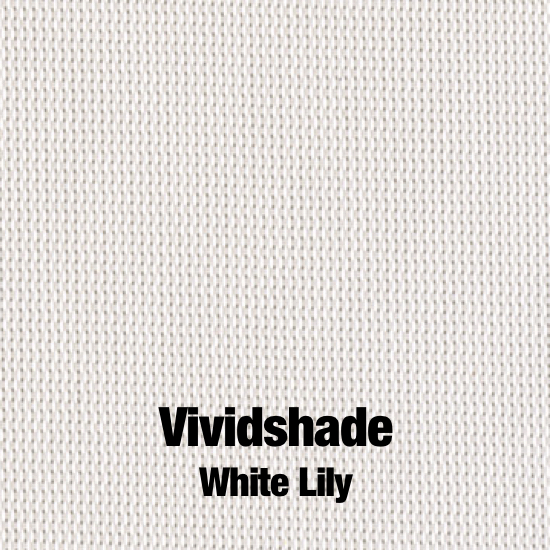 Vividshade White Lily